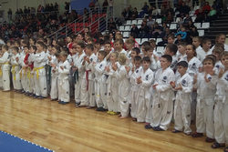 В Тамбове прошло первенство и чемпионат ЦФО по тхэквондо