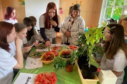 Для учеников агроклассов Тамбовщины организовали профильную летнюю смену