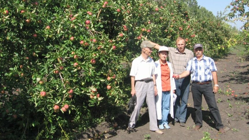 Нии Садоводства В Бирюлево Питомник Саженцы Цена