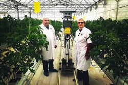 В Мичуринске разработали робота, который лечит лазером тепличные растения