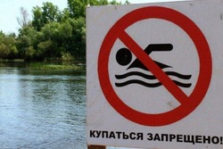 На тамбовских пляжах «Олимпийский» и «Детский» запретили купаться 