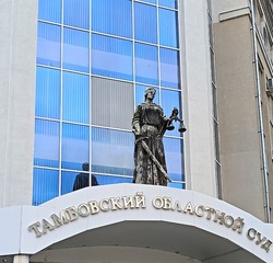 Тамбовчанке, сбившей насмерть пенсионерку на тротуаре, вынесли приговор