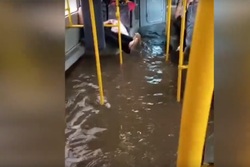 В Тамбове автобус превратился в бассейн на колёсах из-за сильного ливня