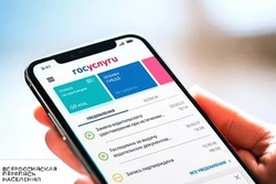 Для тамбовчан интернет-перепись населения станет ещё проще: доступ к порталу госуслуг будет бесплатным