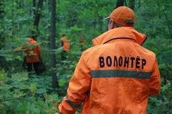 На Тамбовщине создан центр поиска пропавших людей