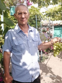 Слесарь из Знаменки развёл на своём участке 120 сортов винограда и стал блогером