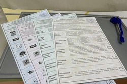  Итоги второго дня голосования в Тамбовской области: явка на участки 47,58% избирателей