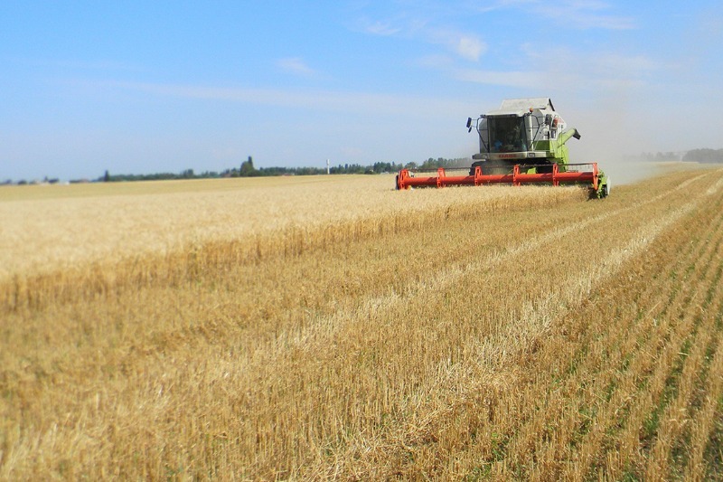 Агрофирма трио. Поля засеянные в луховицах. Посевная кампания. Фермеры хозяйства в астрахани. Иноплатенянин засеяли.