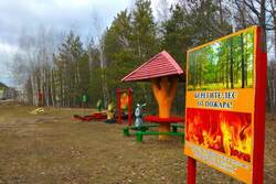 Майские праздники в Тамбовской области прошли без лесных пожаров