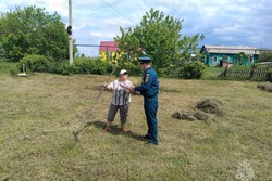 В Тамбовской области зарегистрировали шесть ландшафтных пожаров за неделю 