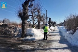 В Тамбове начали санитарную обрезку деревьев
