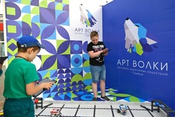 Фестиваль «АРТ ВОЛКИ» пройдёт 29 и 30 июня в Парке культуры Тамбова