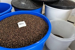 «Триптих»: от гаража в Тамбове до признания на кофейной карте России