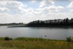 В Жердевском районе «семёрка» утонула в пруду: погибла женщина