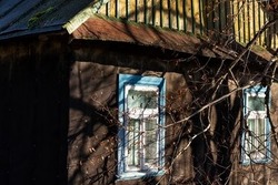 В Росреестре пояснили, как узнать: относится дом к категории аварийных или нет 