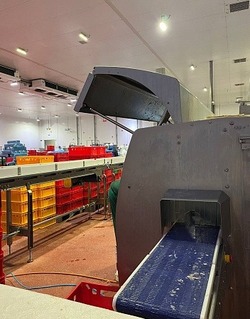 На «Тамбовской индейке» работник лишился четырех пальцев руки 
