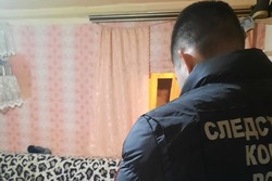 В убийстве жителя Никифоровского округа подозревают его супругу