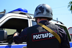 В Моршанске росгвардейцы задержали нетрезвого и опасного водителя