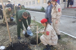 Тамбовские студенты заложили аллею Памяти в честь 75-летия Победы