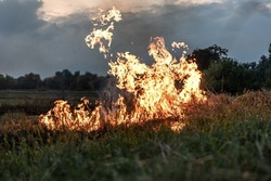 В Знаменском округе при попытке потушить горящее сено погиб мужчина
