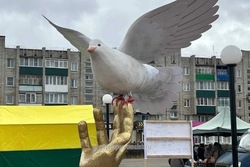 В Первомайском пройдёт фестиваль «Птица на ладони»