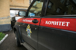 Пропавшие в Тамбовской области девушка и её 8-месячный ребёнок найдены мёртвыми