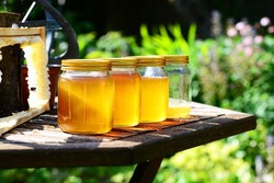 Бренд «Тамбовский мёд» будет участвовать в национальном конкурсе «Вкусы России»