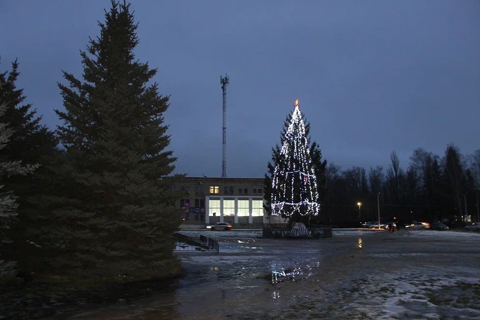 Новогоднюю ёлку, установленную на площади Ленина рабочего посёлка Дмитриевка Никифоровского района, вырастил один из жителей райцентра. Её украсили шарами, игрушками и гирляндами.