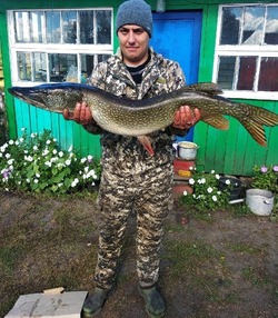 Житель Гавриловского округа поймал в пруду огромную 10-килограммовую щуку 