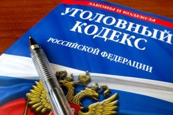 Мичуринец, совершивший 46 краж, предстанет перед судом