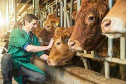 Тамбовская область сможет готовить профессиональные кадры для отрасли животноводства