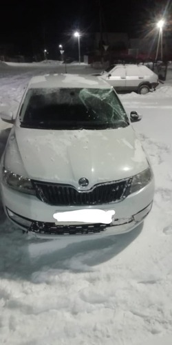 В ДТП под Сосновкой пострадали женщина-водитель и две пассажирки