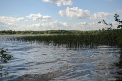 В Тамбовской области определили список водоёмов для рыбоводства