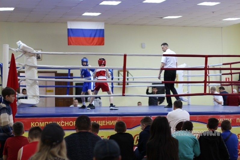 старые тренера по боксу тамбов. бокс мусин максим корсаков. боксер 120. боксер 120. бокс юноши.