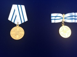 Жительница Первомайского округа награждена медалью ордена «Родительская слава»