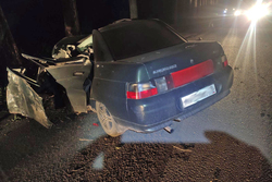 В Петровском районе водитель «десятки» протаранил дерево и погиб