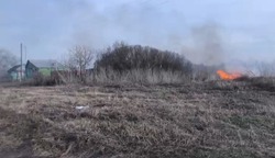 В Знаменском округе из-за поджога загорелась трава на площади 0,5 гектара