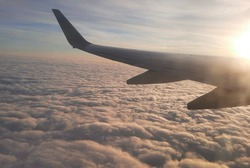 Из Тамбова до Москвы и Санкт-Петербурга увеличили авиарейсы на летний период  