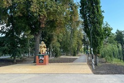 В Тамбовской области благоустроили 49 дворов и 40 общественных территорий