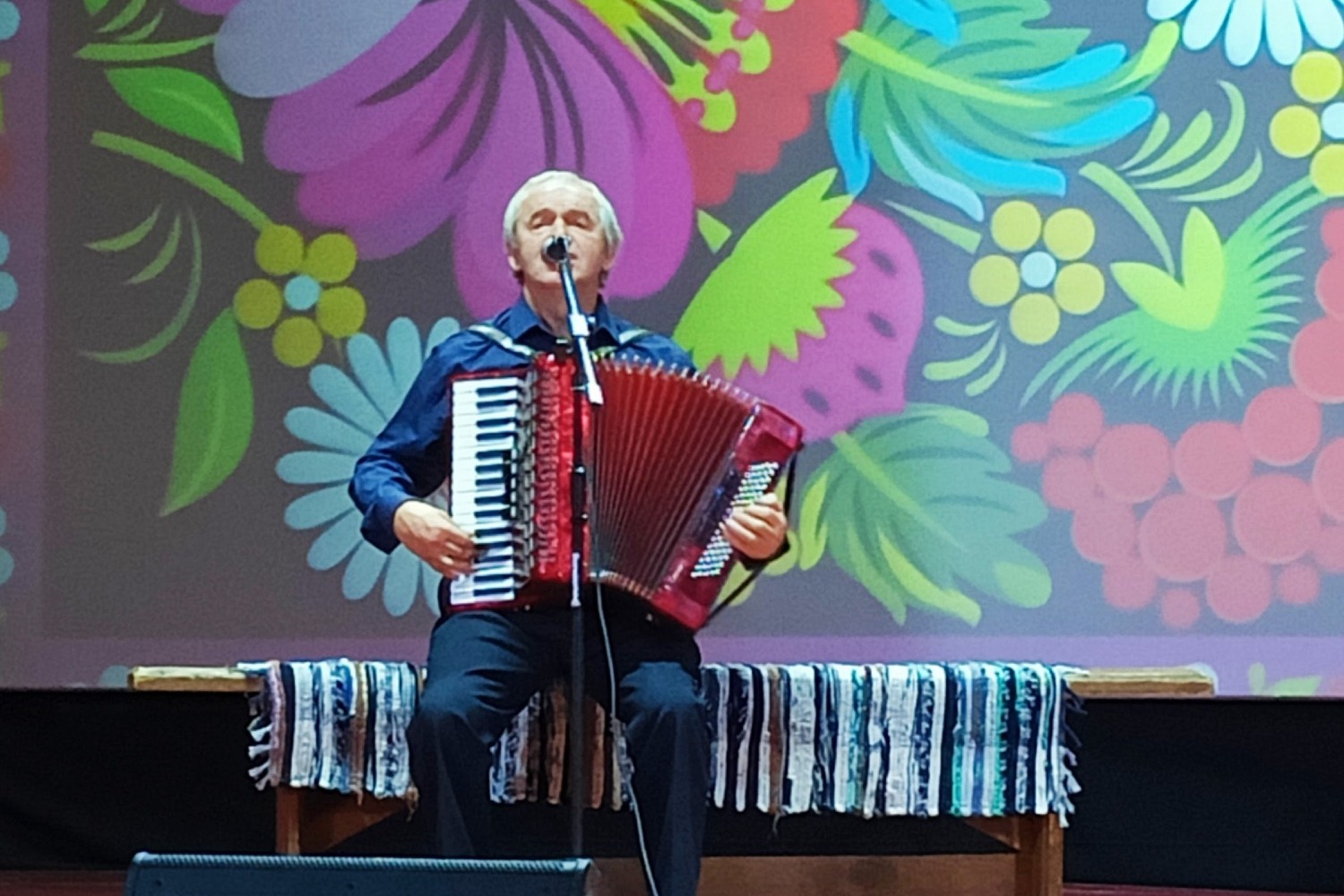 Соло на баяне - Андрей Сучков