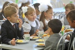 «Мы готовы уже с 1 сентября кормить всех младших школьников бесплатно»: губернатор о нововведениях в сфере образования