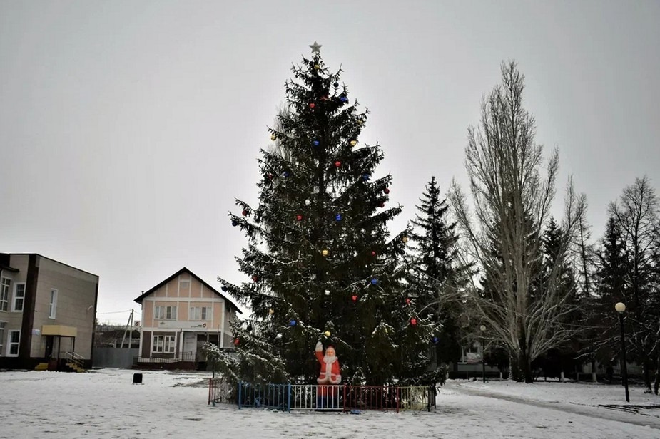 В райцентре Мордовского района установили 7-метровую живую ель. Дерево посёлку подарила жительница улицы Комсомольской. Ёлку украсили шарами, игрушками и гирляндами.