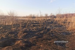 В Мучкапском округе при возгорании сухой травы погиб мужчина