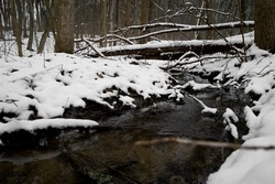 В Гавриловском округе машина с рыбаками упала в воду: водитель погиб