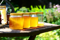 Тамбовский пчеловод передал участникам спецоперации 350 кг мёда