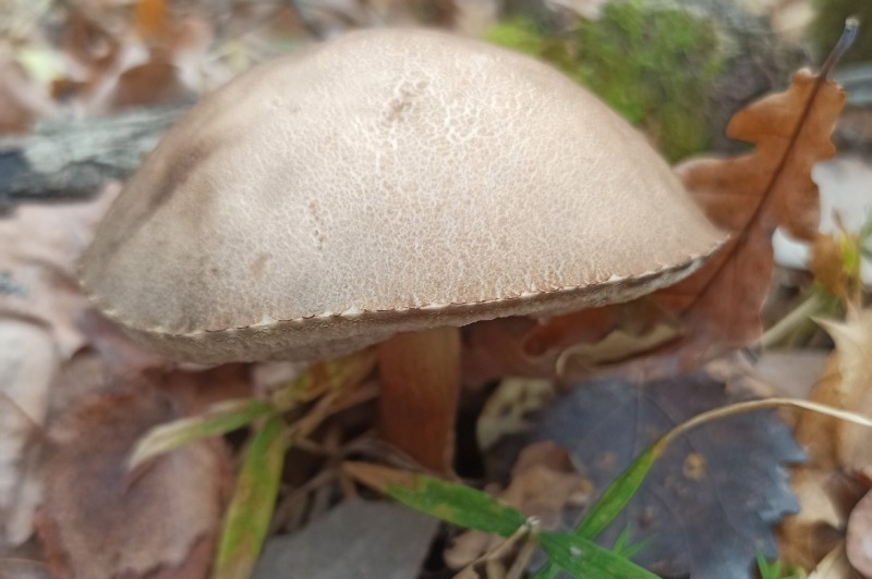 Заблуждение 5