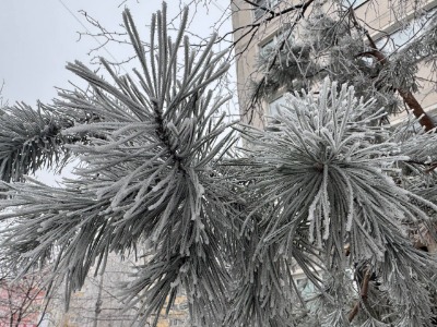 В Тамбов придет зима с морозами до минус 18 градусов