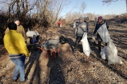 Уваровские дачники убрали свалку на берегах Вороны
