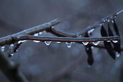 В Тамбовской области прогнозируется ледяной дождь