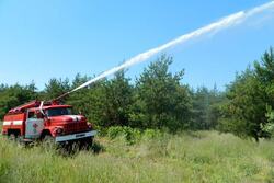 Лесные инспекторы выявили более 100 нарушений пожарной и санитарной безопасности
